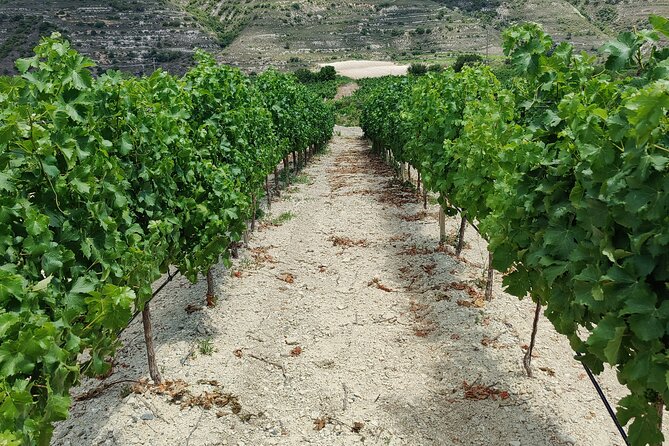 The Grape Escape: Troodos Mountains Thru Wine Small Group Tour 6hrs - Directions