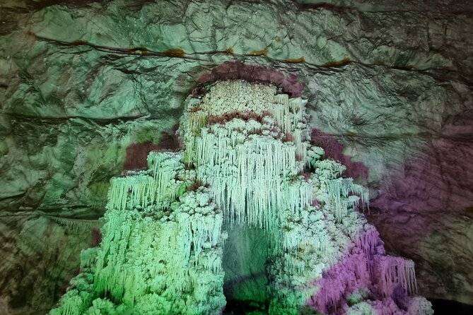 The Largest Salt Mine , Winery and Dracula Grave- Private Tour - Transportation