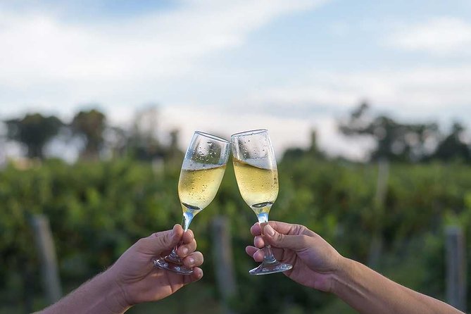 The Wine Route From San Juan - Inclusions and Details