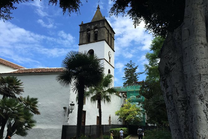 Tour Around the Island - Private VIP Tour in Tenerife - Inclusions