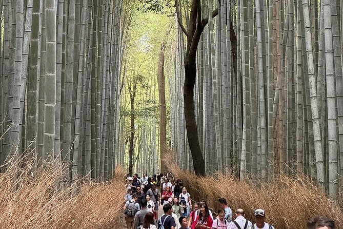 Treasures of Kyoto : Gion & Historical Private Tour - Frequently Asked Questions