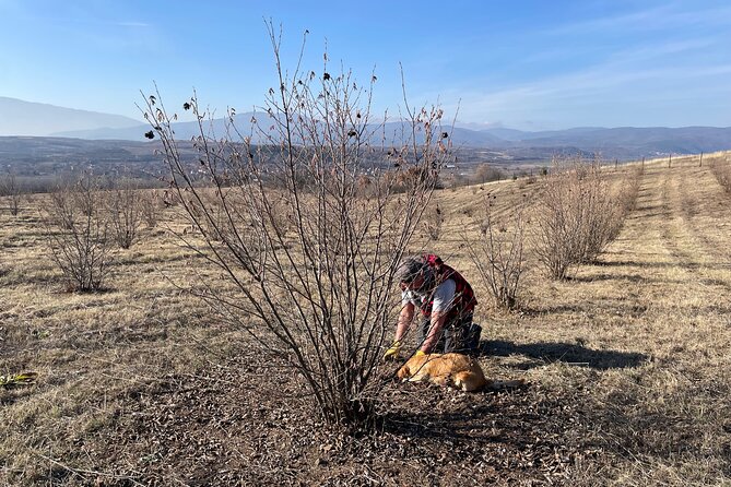 Truffle Hunting in Kyustendil - Sample Menu Highlights