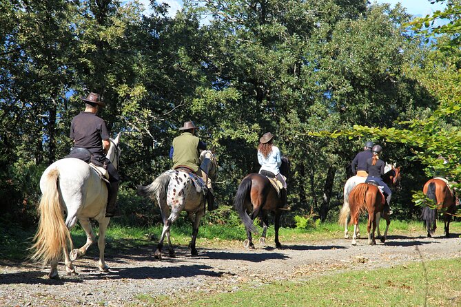 Umbria, Horseback Riding in the Umbrian Countryside With Lunch - Meeting and End Points