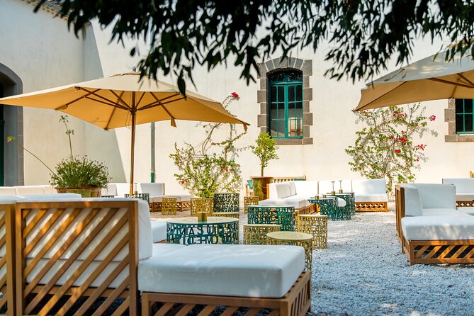 VIP Tour of the Cellars and Wine and Vermouth Tastings - Reviews