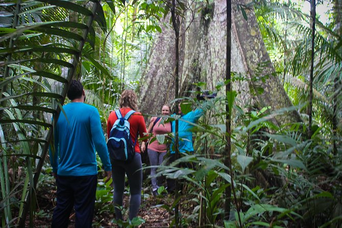 Welcome To the Jungle 5D/4N At Tapiri Rio Negro Lodge - Pricing and Reviews