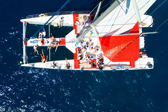 Whale Watching and Listening Eco Catamaran Tour With Food Tasting - Food Tasting Experience
