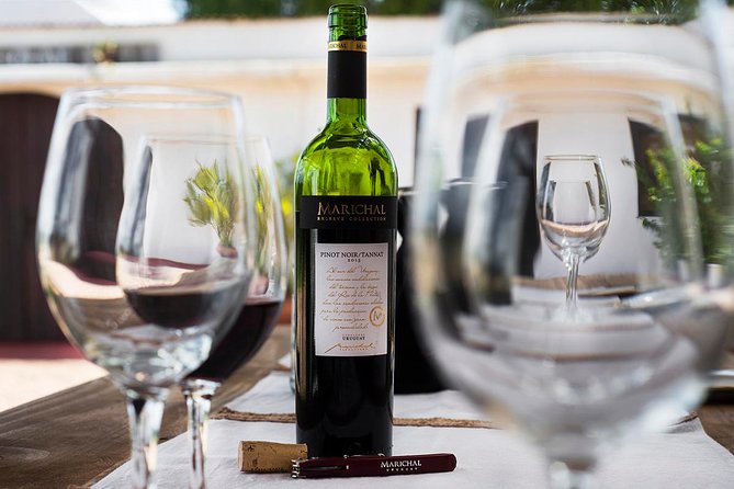 Wine Cellar & Tasting in Montevideo With Outstanding Lunch - Tour Highlights