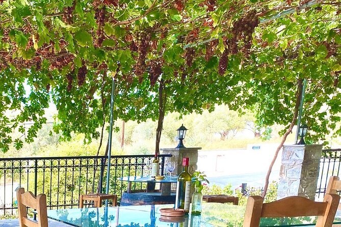Wine Tasting and Winery Tour in Lemona Village, Paphos - The Sum Up