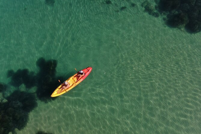 WWF Kayak Tour From Cala Manbrù to Torre Salsa Reserve - Tour Overview