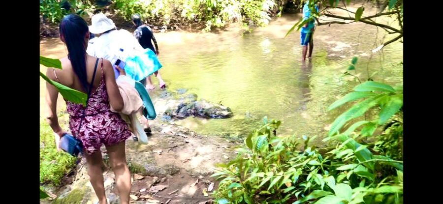 4 Days Adventure; Medellin to Nuqui- Whales!!! - Booking and Logistics