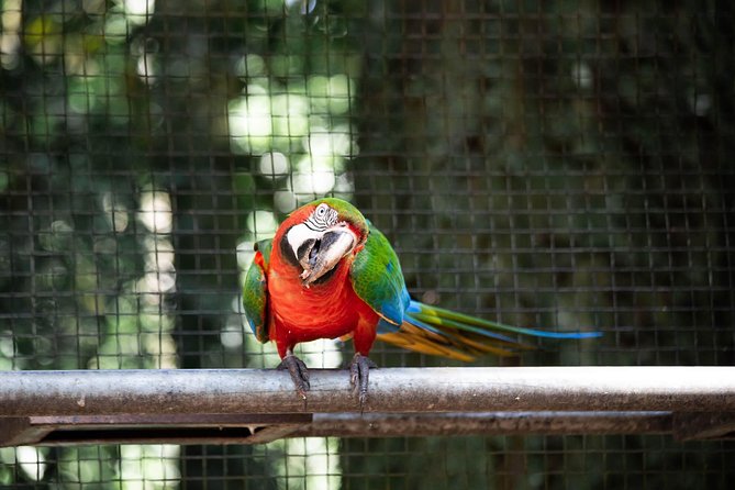 4 Days and 3 Nights 4 Stars Hotel Iguassu Falls - Private Tours - Hotel Accommodations