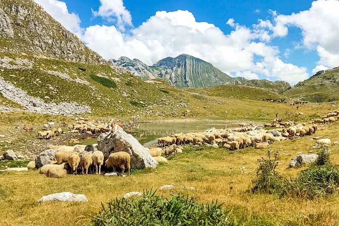 1-Day Montenegro Hiking Tour to Durmitor National Park - What To Expect