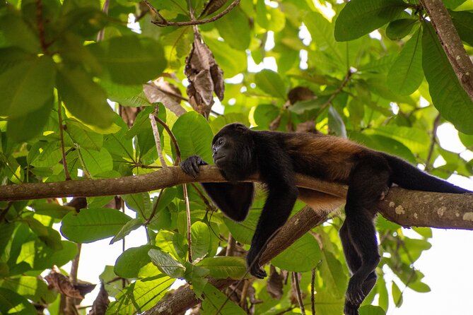 4-Hour Private Guided ATV Tour in Costa Rica - The Sum Up