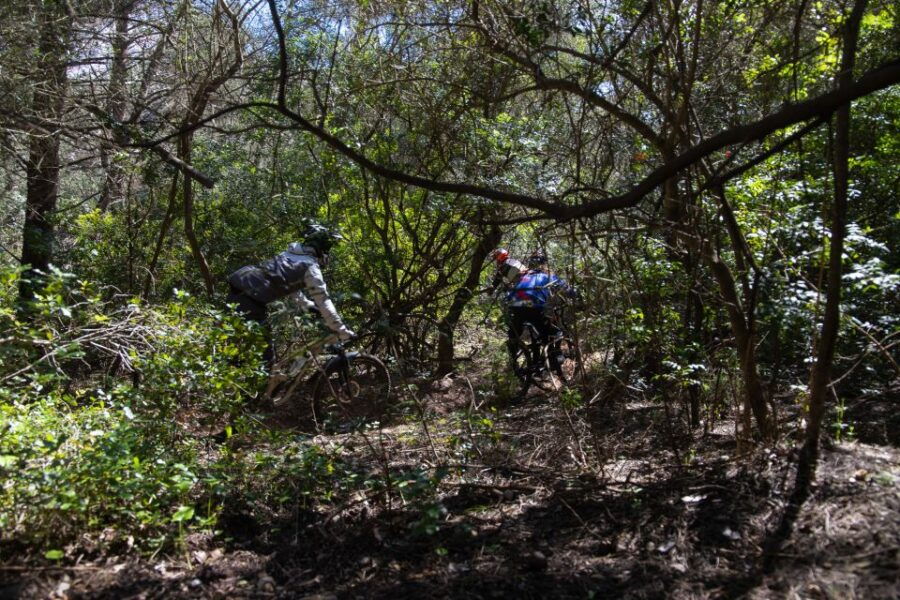4 Hour Private MTB Enduro Trail Tour in Sintra Mountain