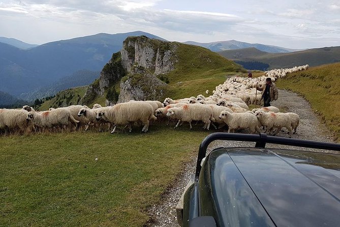 4x4 Driving Experience at Flying Altitudes - 7 Days - Booking Information