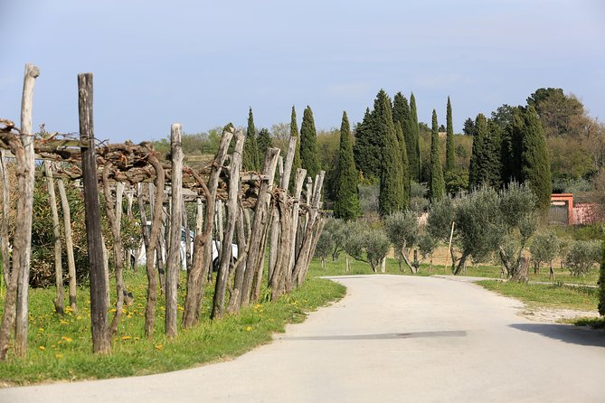 5-Course Food Tour With Electric Bikes - Itinerary