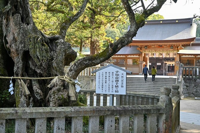 6 Hour Private E Bike Tour on Omishima - Requirements and Restrictions