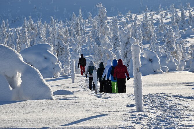 7 Days Winter Lapland Nature Experience - Local Cuisine Experience