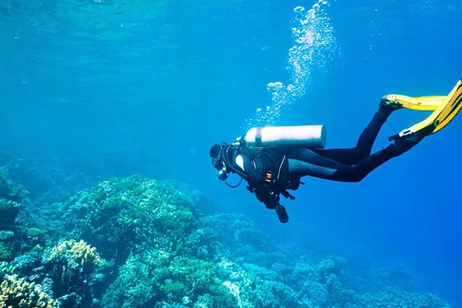 Antalya Scuba Diving With Lunch, Transfer - Meeting and Pickup Details