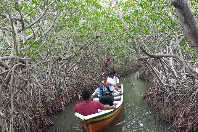 Artisanal Canoe Tour in the Mangrove With Afro-Caribbean Dance - Tour Location and Meeting Point