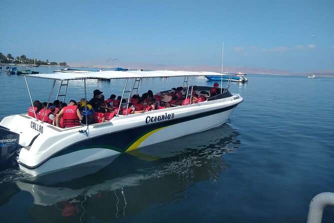 Ballestas Islands Tour for Passengers of the Puerto San Martin Cruise - Booking Information and Policies