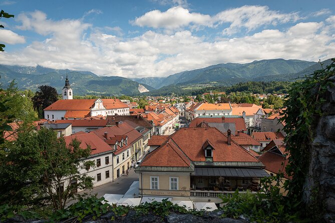 BEER WAY Kamnik Beer Tasting & Brewery Tour - Reviews
