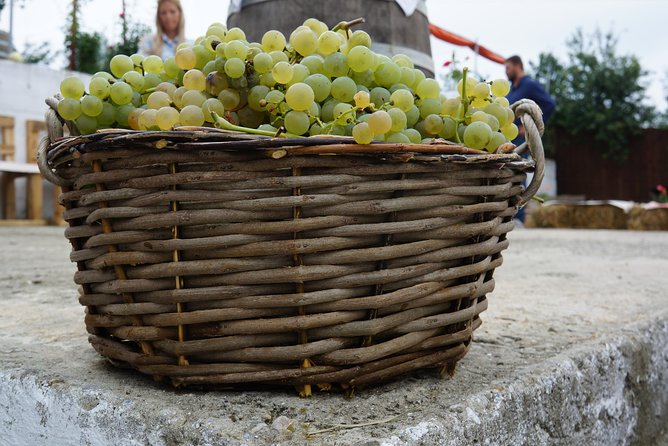 Bike & Wine Tour in Dealu Mare Wineland - Additional Information