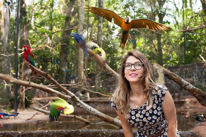 Bird Park & Iguassu Brazilian Side From Puerto Iguazú Hotels - Private Tour - Customer Reviews