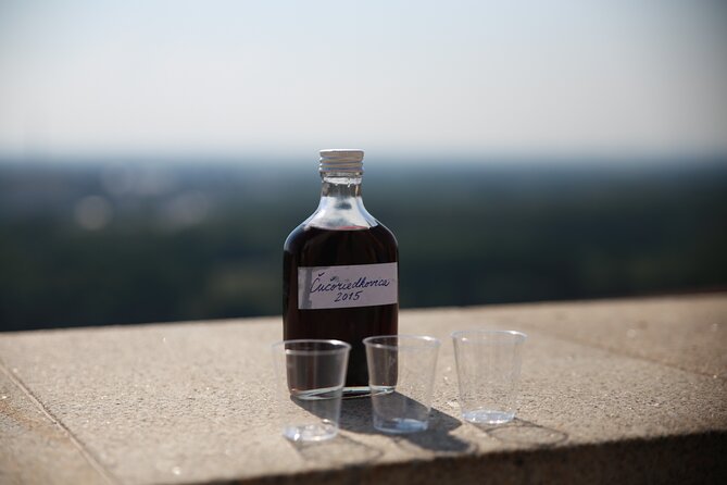 Bratislava Foodie Tour - Directions