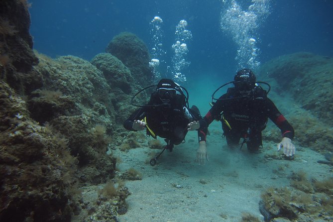 BRELA Bikini Dive *Try SCUBA DIVING* - Reviews