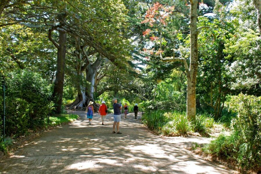 Cape Town for Children: Family Tour