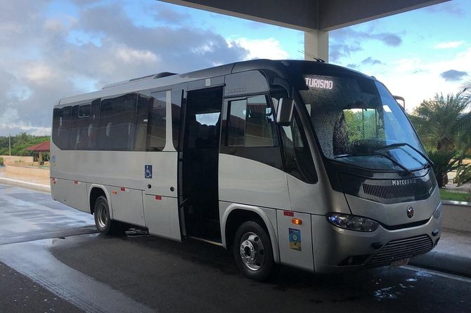 Catamaran Direct Boat To/From Morro De São Paulo - Insights From Travelers Reviews