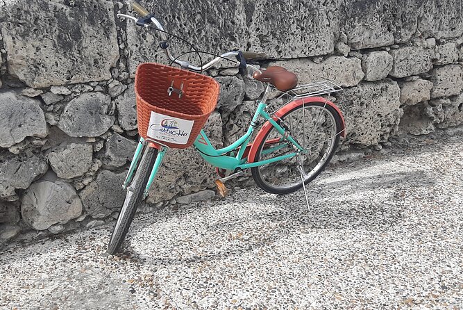 Coffe and Tropical Fruits Bike Tour - The Sum Up