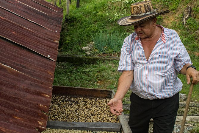 Coffee Farm Experience at Café De La Cima From Medellín - Price