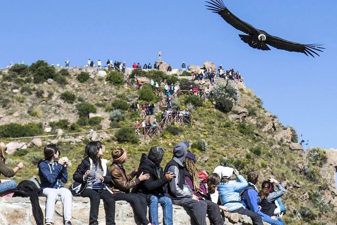 Colca Canyon Full Day + Buffet Lunch - Additional Information