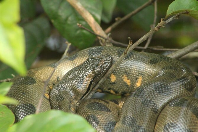 Cuyabeno Wildlife Reserve 4 Days 3 Nights - Booking Information