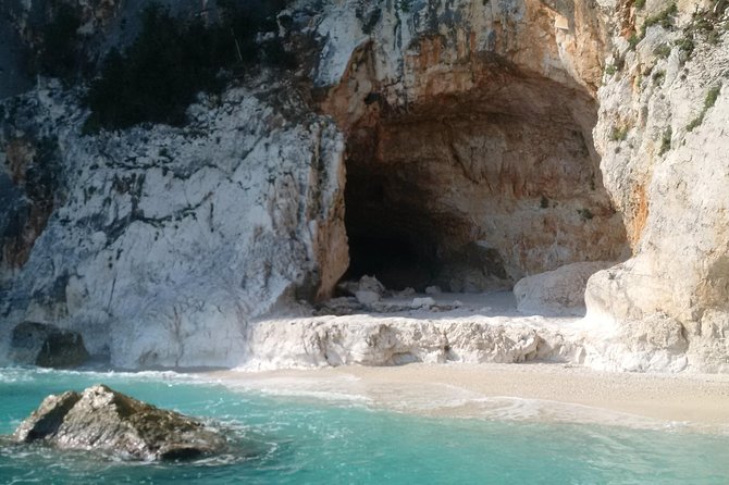 Daily Sailing Trip in the Orosei Coves With Lunch - Group Size and Accessibility