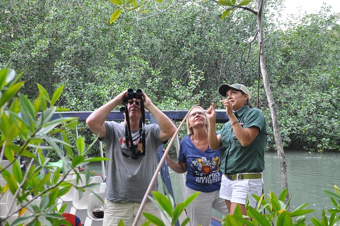 Damas Island by Boat Tour From Manuel Antonio - Highlights