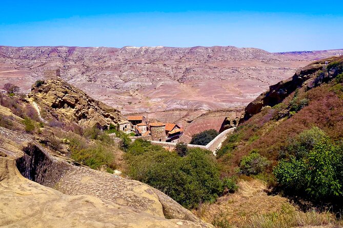 Day Trip to Rainbow Mountains and David Gareja - Traveler Reviews