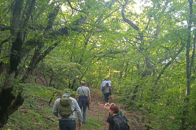 Day Walking Tour in Vashlovani Prot. Area(Eagle Gorge)with Lunch - Booking and Cancellation Policy
