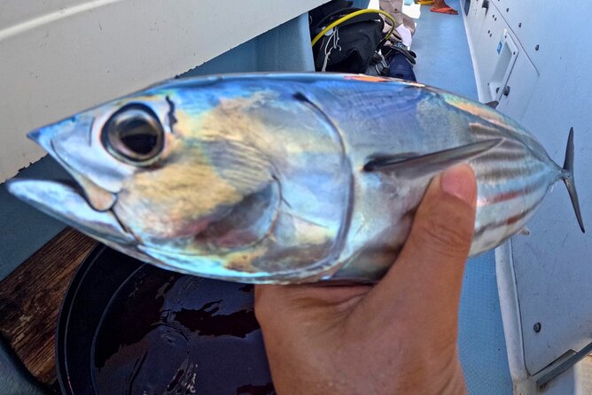 Departing From Onna Village (Maeda Fishing Port)! Fishing Experience/Trolling | Complete Boat Charter Plan (4 Hour Course/7 Hour Course) - Activity Details