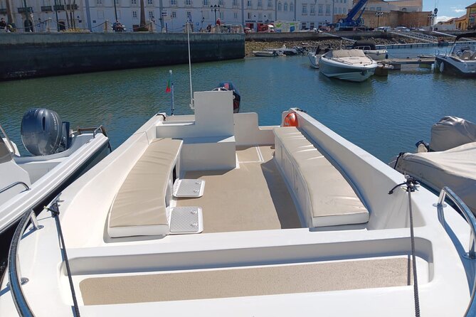 Dolphin Watching and Wildlife From Faro - Directions