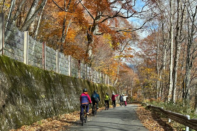 E Bike Rental in Takayama Gifu Mountain Cycling - Booking Details