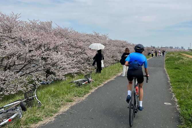 English/Italian Guided Cycling Tour in Tokyo(With a Rental Bike) - The Sum Up