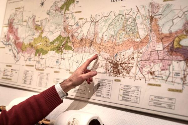 🍷 Masterclass Pinot Noir - Wine Tasting in Dijon 🇫🇷 - Frequently Asked Questions