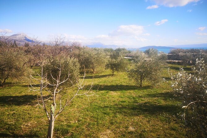 Family-run Vineyard Tour & Award Winning Wine Tasting/Delicacies - Customer Reviews