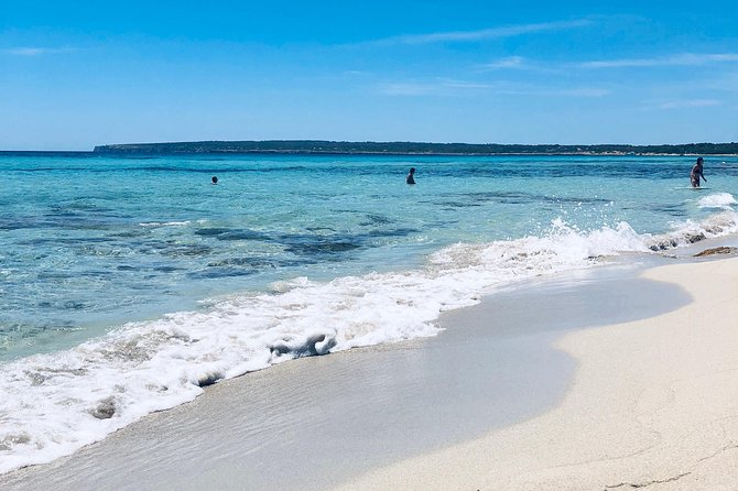 Formentera Small-Group Day Trip by Sailboat From Ibiza - Customer Reviews