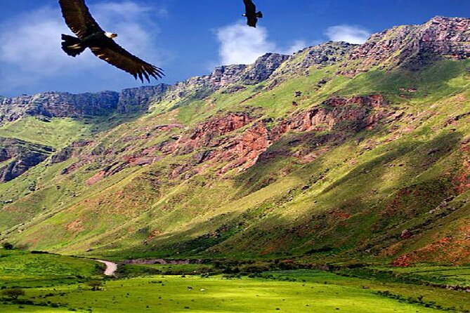 From Salta: Full-Day Tour to Cachi and Los Cardones National Park - The Sum Up