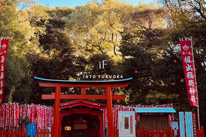 Fukuoka Castle and Gokoku Shrine Tour - Expectations and Cancellation Policy