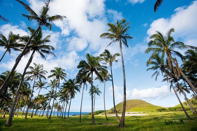 Full Day Easter Island Shared Tour - Tour Details and Inclusions